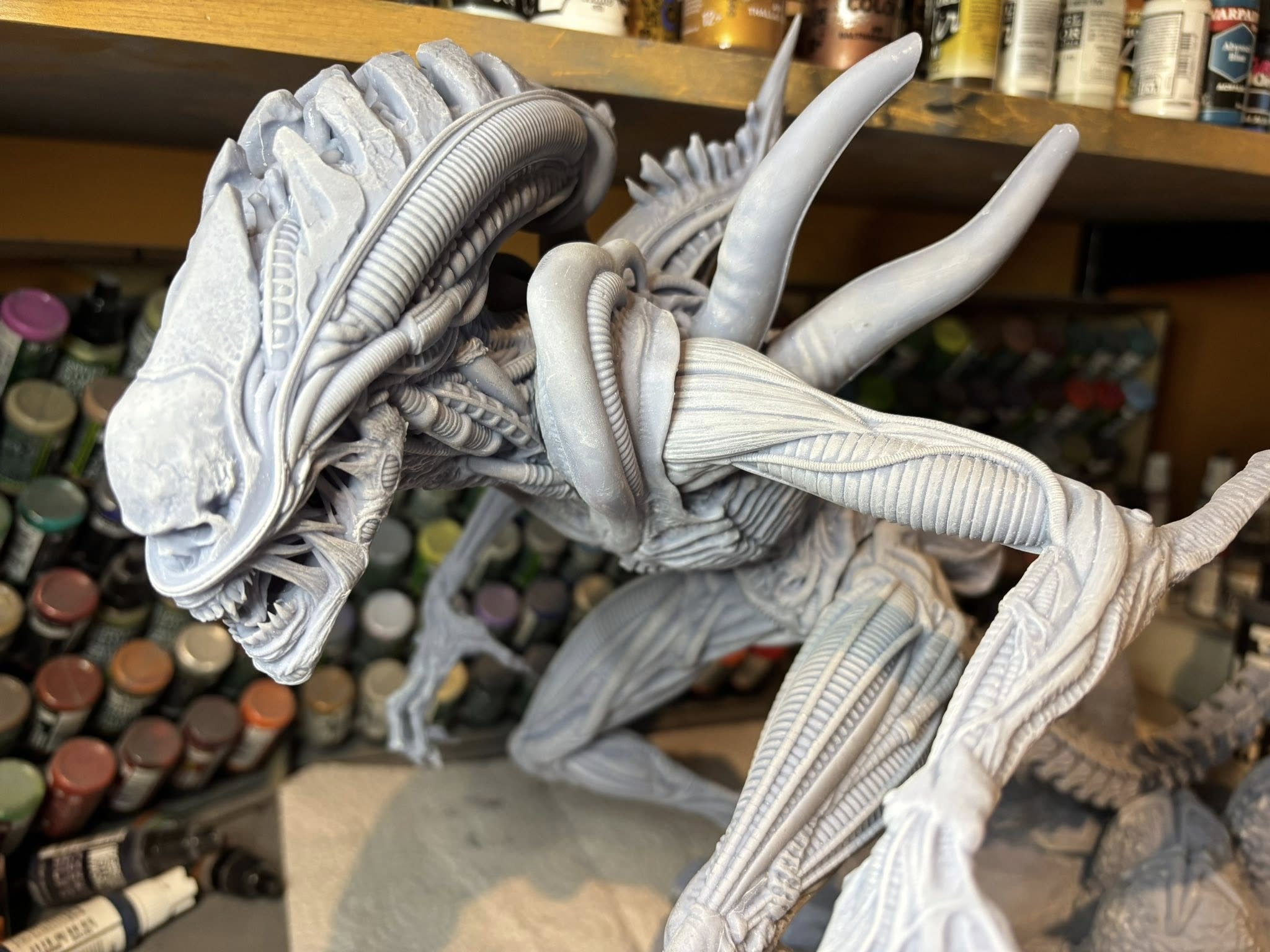 Alien ( COMING SOON )